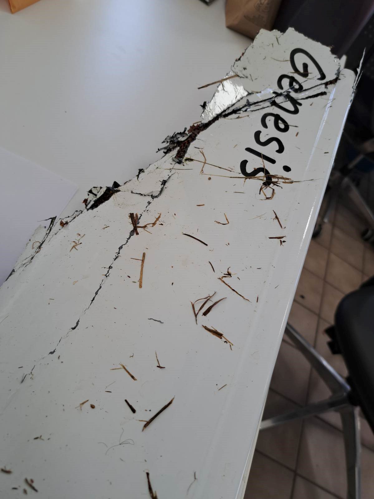 A messy white surface with scattered brown debris and a black cable.