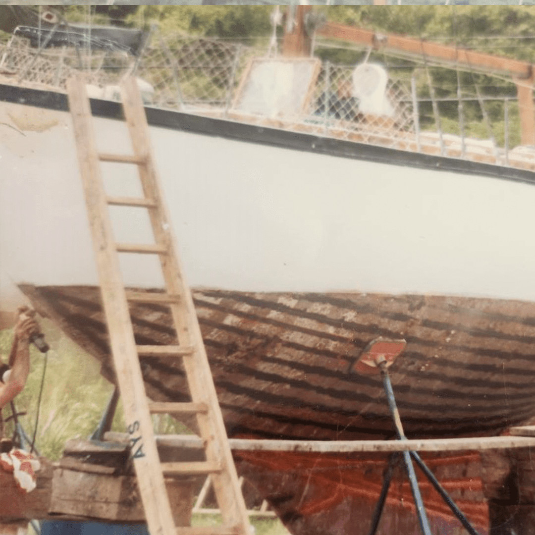 Boat on land with wooden ladder and surrounding greenery.